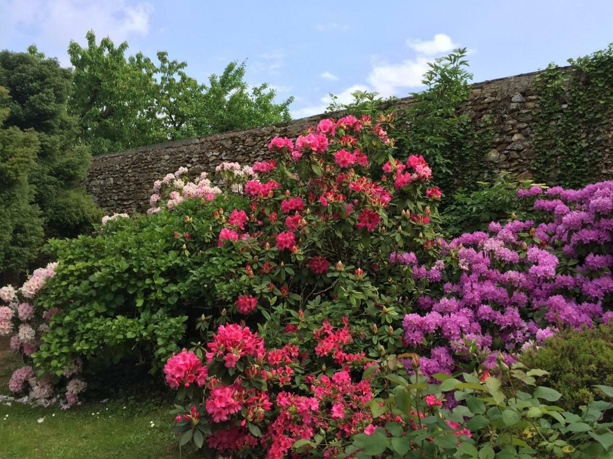 Domaine Des Trois Chateaux Moisenay エクステリア 写真